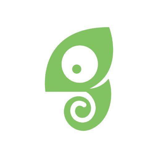 Chameleon logo