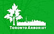 TORNOTO ARBORIST