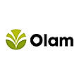 Olam