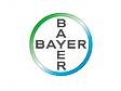 Bayer