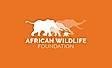 African Wildlife