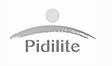 Pidilite