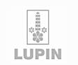 Lupin