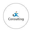 Consulting