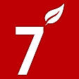 7 Leaves