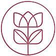 Credo