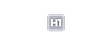 H1