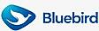 BlueBird