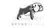 Spykemedia