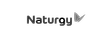Naturgy