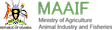 MAAIF