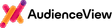 AudienceView Professional