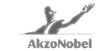AkzoNobel