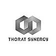 Thorat Synergy