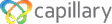 Capillary