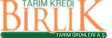 BIRLIK