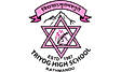 Triyog High School