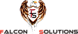 Falcon Solutions