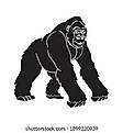 Gorilla Terminal