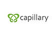 Capillary
