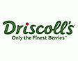 Driscolls