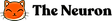 The Neuron