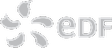 eDF