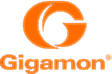 Gigamon
