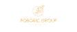 Porobic Group