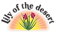 Lily of the Desert