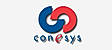 Conesys