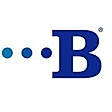 Bridgeview Bank Group