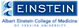 Albert Einstein College of Medicine