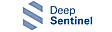 Deep Sentinel