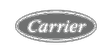 Carrier