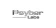Psyber Labs