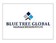 Blue Tree Global