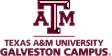 Texas AM University Galveston