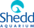 Shedd