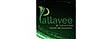 Pallavee