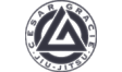 Gracie Jiu Jitsu