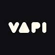 Vapi AI