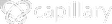 CapillaryTechnologies