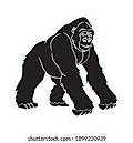 Gorilla Terminal