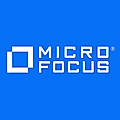 Micro Focus NetIQ Validator