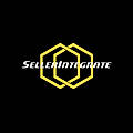 SellerIntegrate