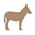 SongDonkey