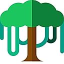 Canopy API logo