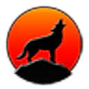 Coyote Analytics logo