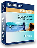 DataNumen PSD Repair logo